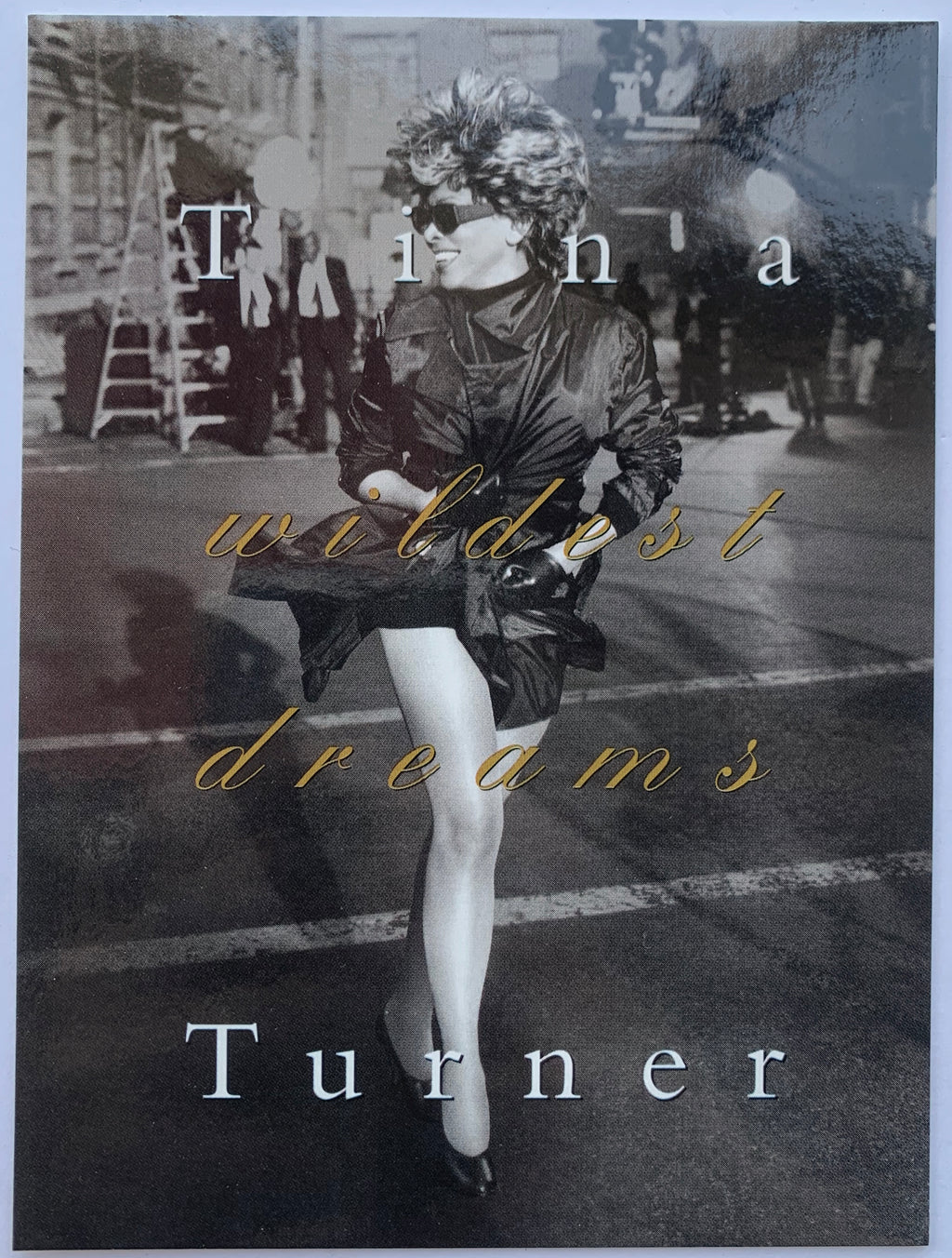 Tina Turner 1996 Wildest Dreams Hanes Postcard