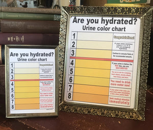 Are you hydrated? CFLO Urine Color Chart!