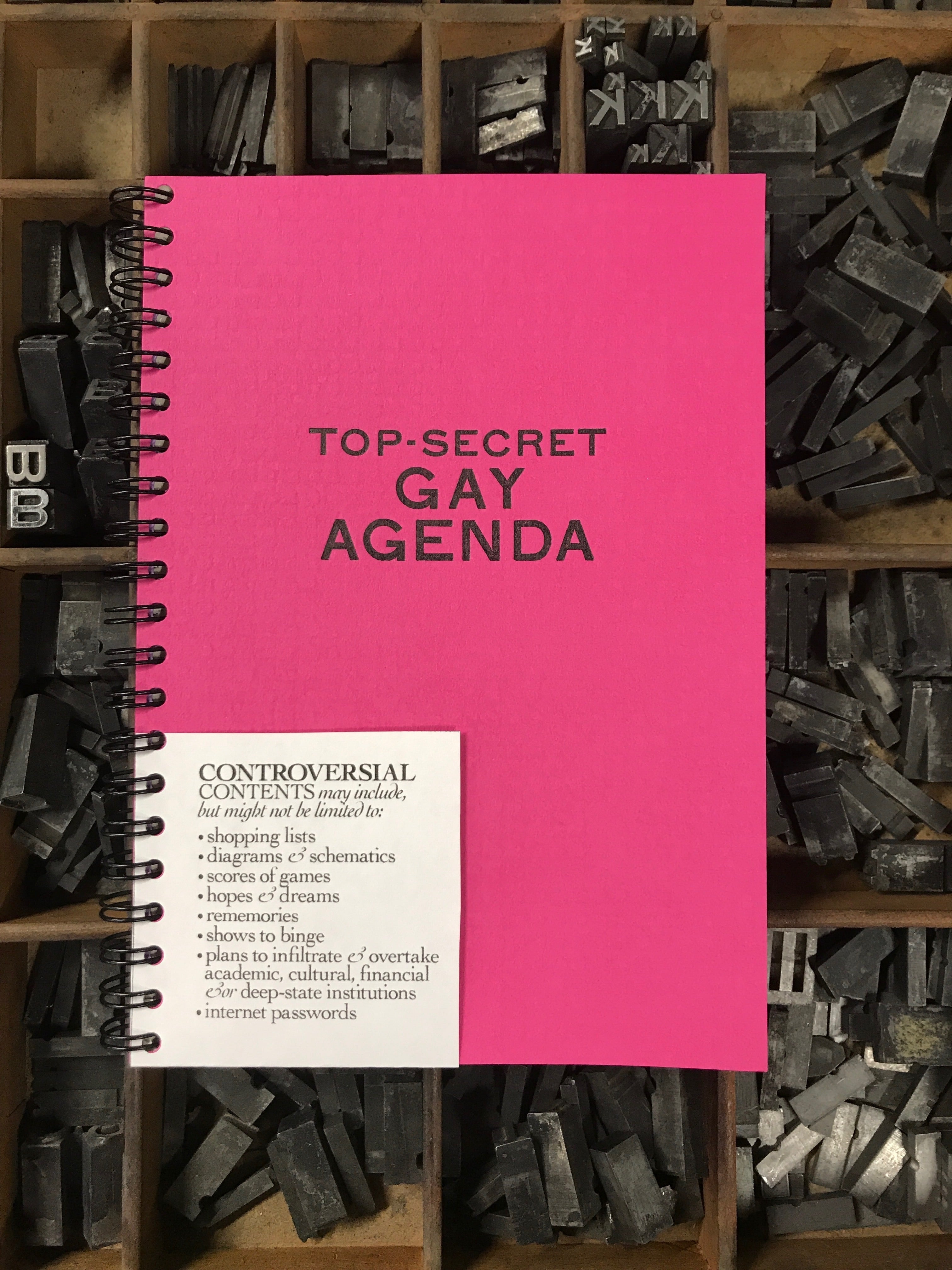 Top-Secret GAY AGENDA Notebook Made by Lunalux